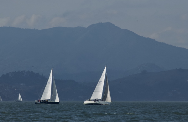 DSC_3217