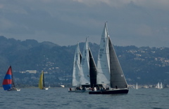 DSC_3295