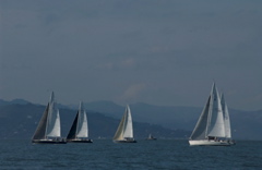 DSC_3247