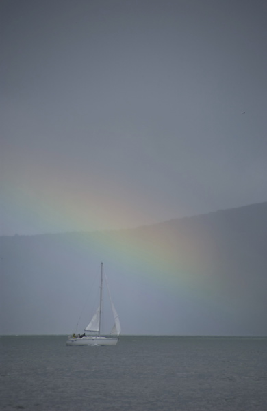 DSC_2737