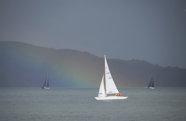 DSC_2766 (1)