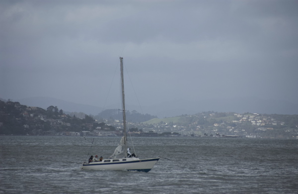 DSC_2787