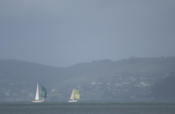 DSC_3446