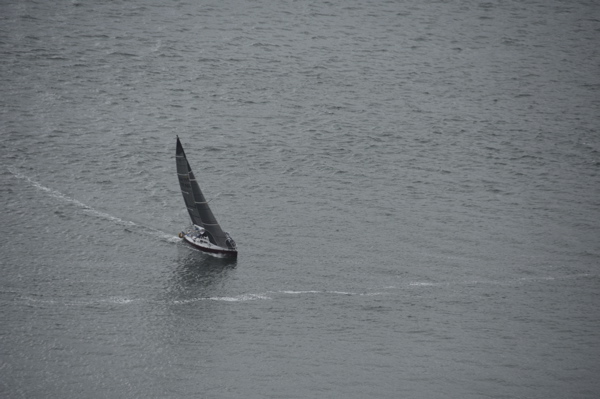 CAW_0441