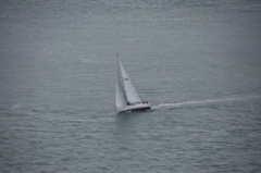 CAW_0337