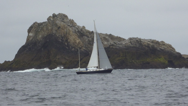 P1050236