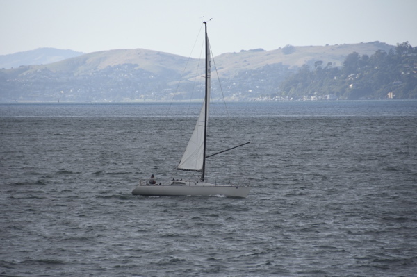 CAW_0500