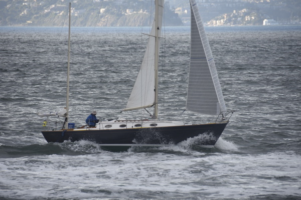 CAW_0590