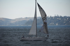 CAW_0549