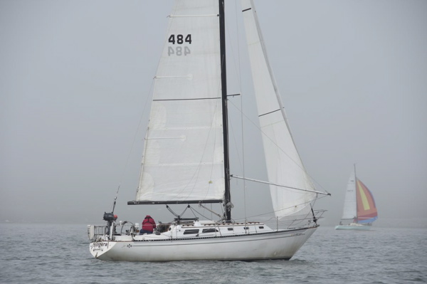 CAW_0569