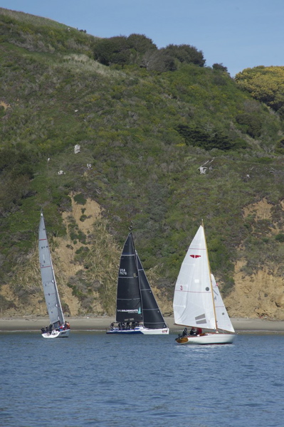 NCS_3259