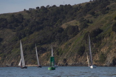 NCS_3299