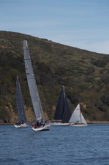 NCS_3238