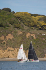 NCS_3262