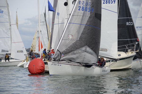 NCS_3784