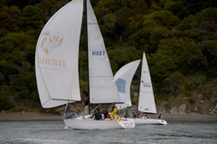 NCS_4074