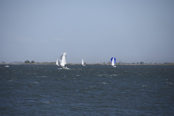 CAW_2389