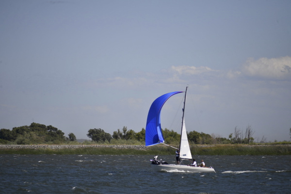 NCS_2219