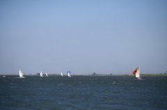 NCS_2279
