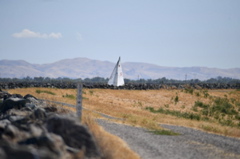 NCS_2290