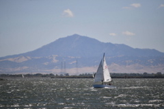 NCS_2297