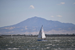 NCS_2298