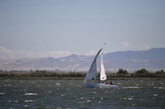 NCS_2303