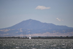 NCS_2117