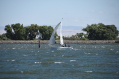CAW_2288