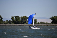 NCS_2207