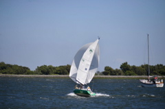 NCS_2247