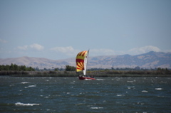 CAW_2335