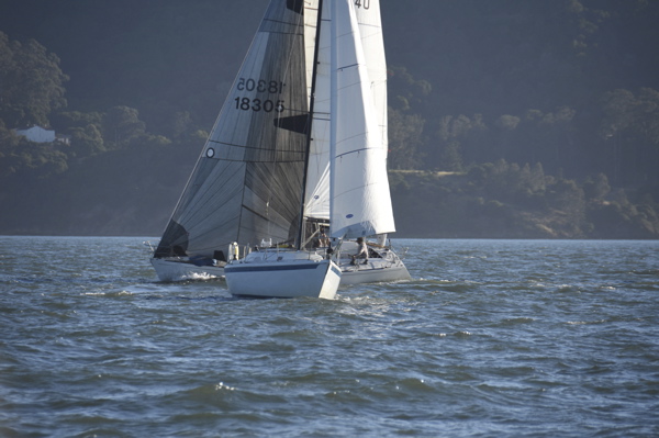 CAW_2584