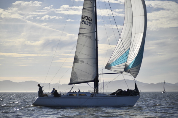 NCS_2406