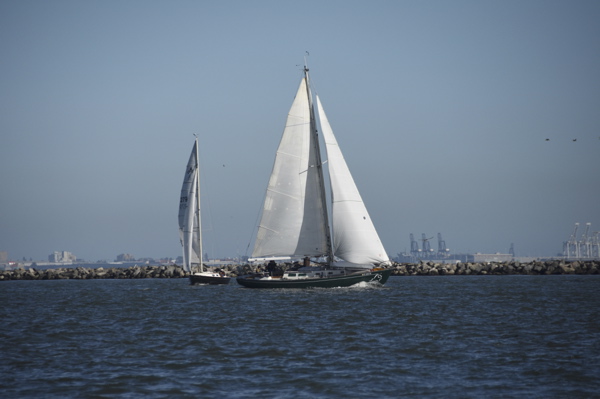 CAW_2474