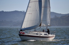 NCS_2382