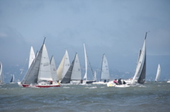 CAW_3135