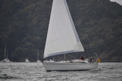 NCS_2703