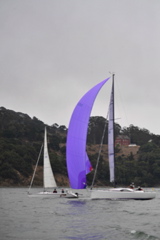 NCS_2567