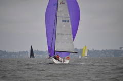 NCS_2587