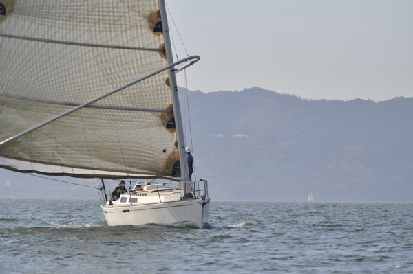 NCS_3273