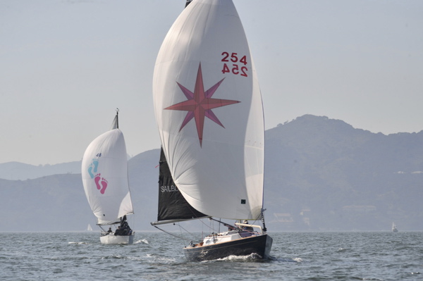 NCS_3331