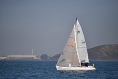 NCS_2976