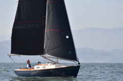 NCS_3368