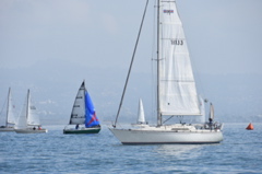 CAW_3990