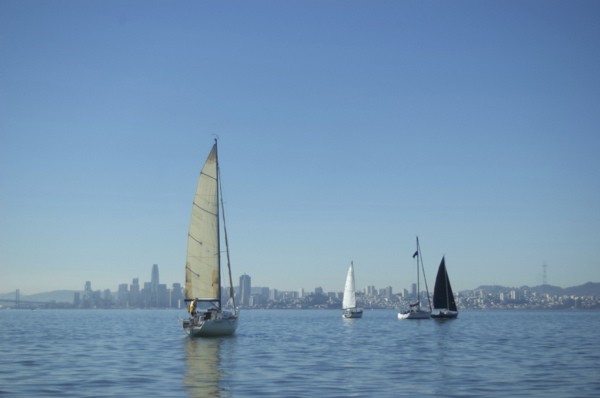 DSC_0218