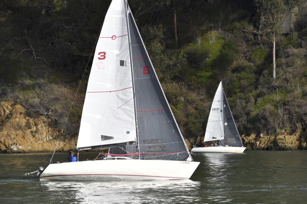 NCS_3799