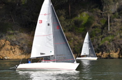 NCS_3799