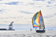 NCS_3849
