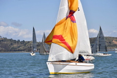 NCS_4095